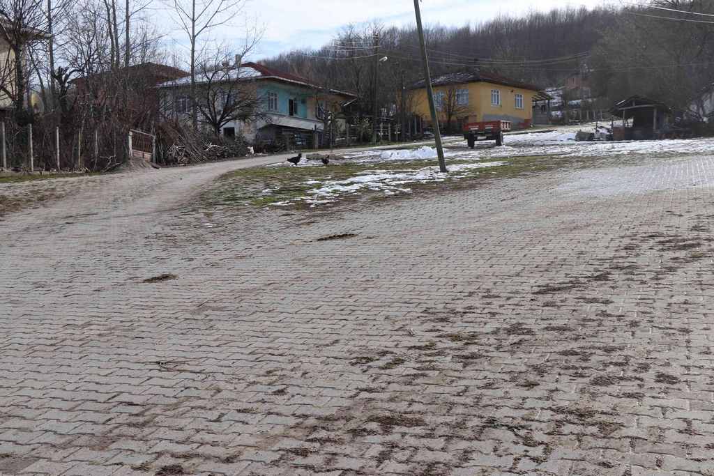 Ilıca